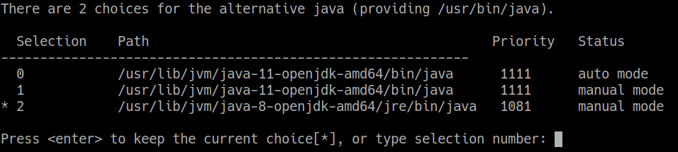 Screenshot showing available java options